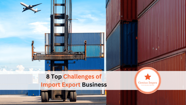 8 Top Challenges of Import Export Business