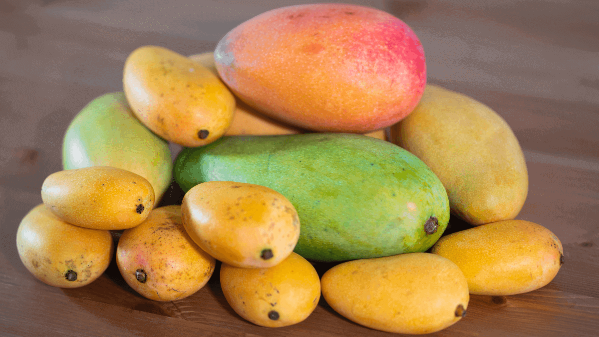 A Spectrum of Flavors_ A Celebration of Pakistani Mango Varieties